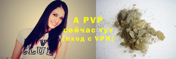 молекула духа Аша